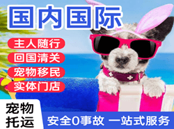 海西花土沟机场空运国际宠物托运 【国